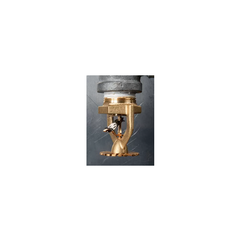 Model P22 ESFR Pendent Sprinklers Model P22 ESFR Pendent Sprinklers