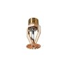 Model ESFR-25 25.2 K-factor Pendent Sprinkler Early Suppression, Fast Response