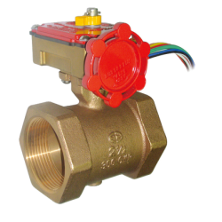 Butterfly Valves, Threaded (Bsp)  Model  YS2811A