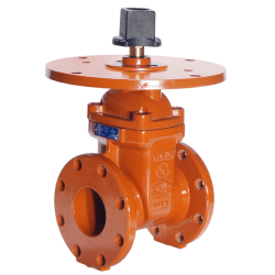 Non-Rising End Gate Valve, Model B111Q-16, PN16, 250psi