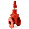Non-Rising Flange End Gate Valve, Model D101, PN16, 232psi UL