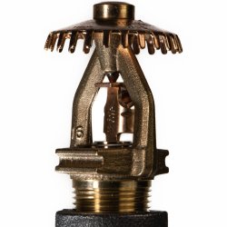J168 Upright Storage Sprinkler