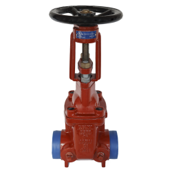 OS&Y Sürgülü Yükselen Milli Vana, Model 135Q, Yiv x Yiv, 300psi