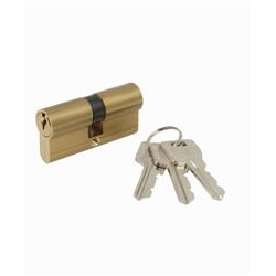 40x40 brass cylinder lock with 3 keys.