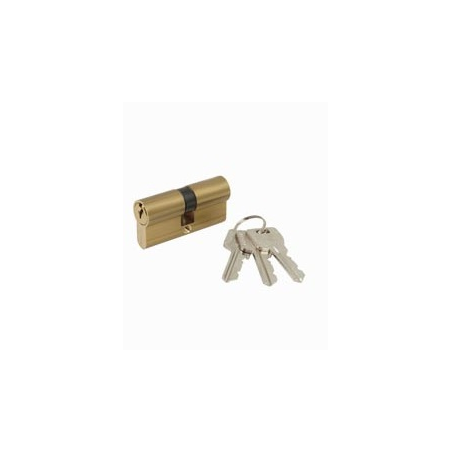40x40 brass cylinder lock with 3 keys.