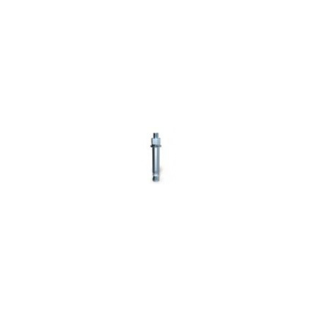 Screw Anchor Bolt (M12*80)