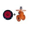 DN100 4"  Non-Rising End Gate Valve, Model B101-16, PN16, 250psi UL/FM  250 PSI + Roadway Box  Set Bundle