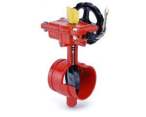 Butterfly Valve, Groove - Groove, Model D81X-362, UL